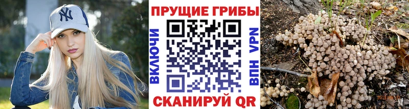 Галлюциногенные грибы ЛСД  цена   ссылка на мегу как зайти  Великий Устюг 